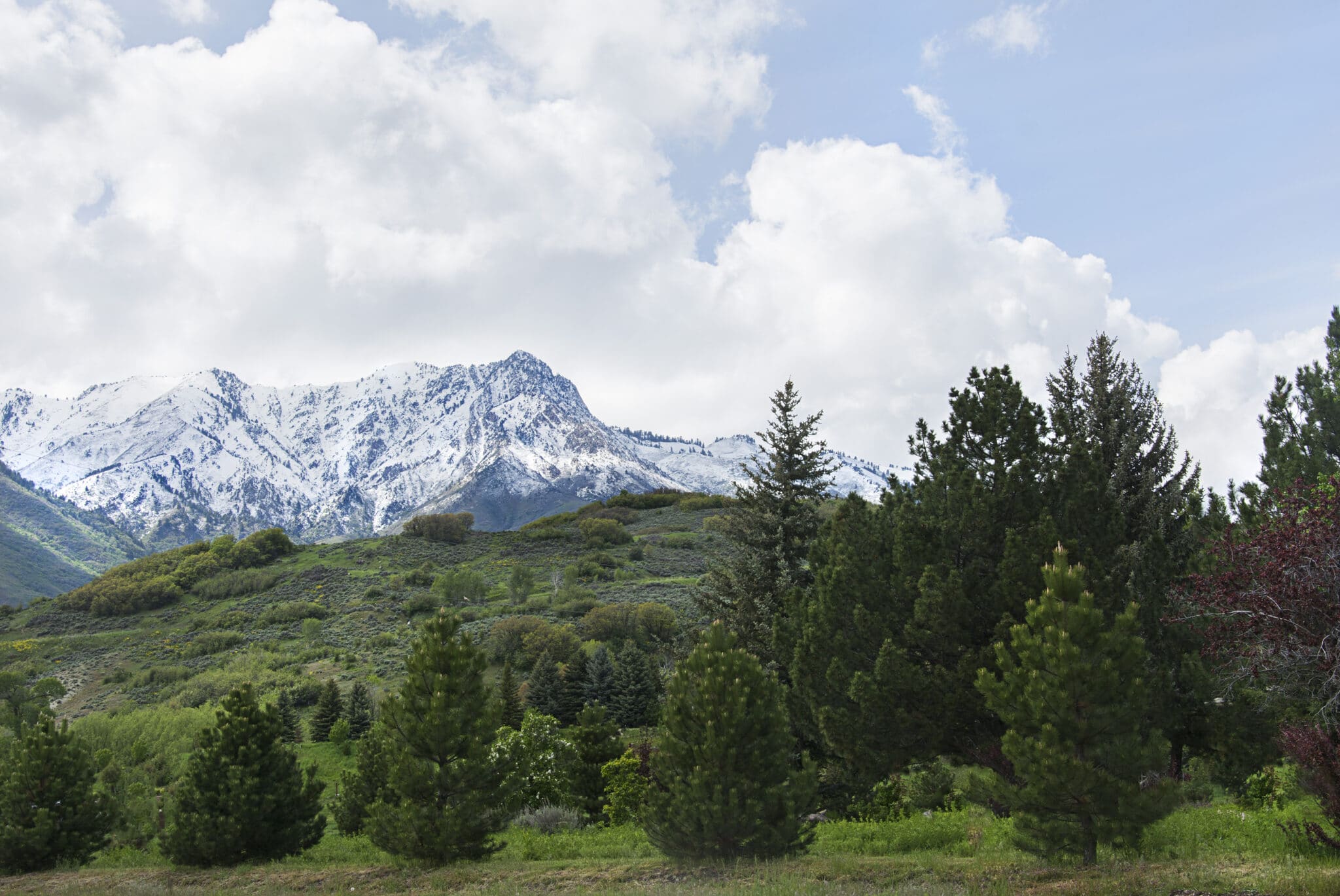 AC Repair in South Ogden, UT.